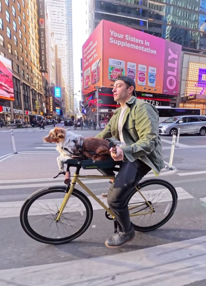 Dog riding on a bike in NYC, capturing attention with its antics. Dog riding on a bike in NYC, capturing attention with its antics.