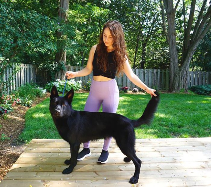 Vanessa De Prophetis with a black dog on a wooden deck in a lush backyard. Vanessa De Prophetis with a black dog on a wooden deck in a lush backyard.