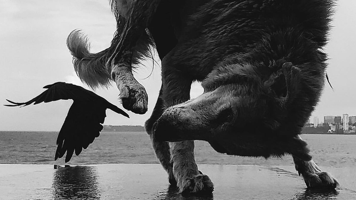 This Account Shares Amusing Street Photos—And Here Are The 35 Best Dog-Themed Examples