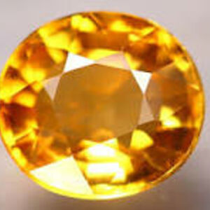 housepanthercat avatar