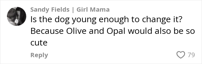 Comment about naming a dog after a baby, suggesting Olive or Opal as alternatives. Comment about naming a dog after a baby, suggesting Olive or Opal as alternatives.