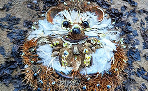 This Artist Works In Nature And Uses Only The Materials Available To Create Beautiful Artwork (43 Pics)