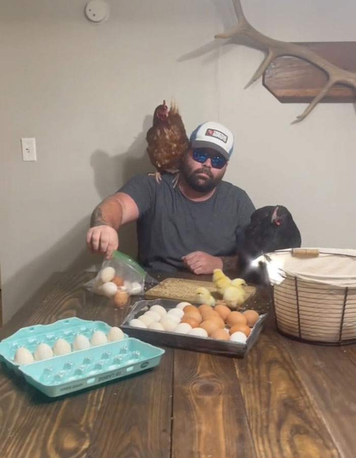 Man with hens and eggs joking about high egg prices in the US. Man with hens and eggs joking about high egg prices in the US.