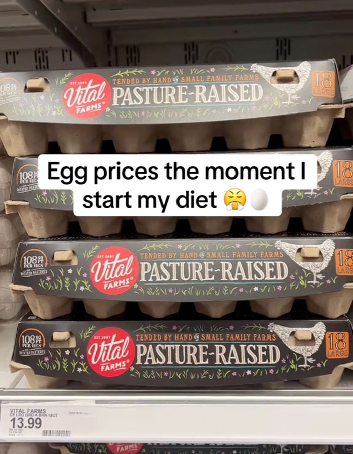 Egg cartons priced at $13.99 at a store, highlighting record-high egg prices in the US with humorous text overlay. Egg cartons priced at $13.99 at a store, highlighting record-high egg prices in the US with humorous text overlay.