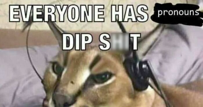 Hey Pandas, Share Your Favourite Queer Memes (Closed)