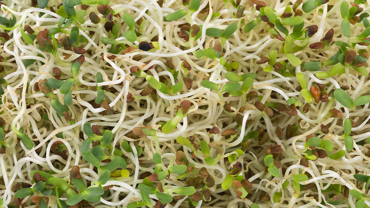 Food Scientist Warns People About Popular Foods That Are Actually Dangerous