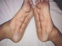 foot-muscles-67783edf562e1.jpg