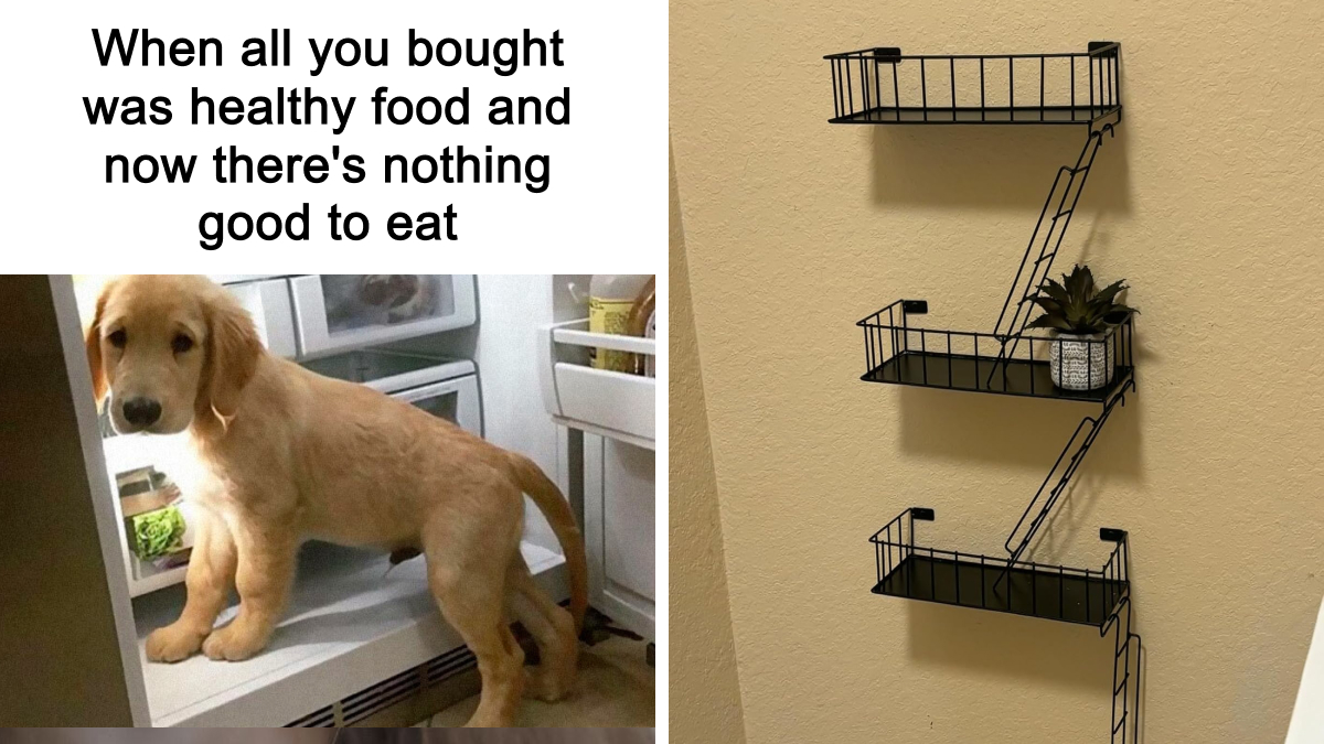 We’re Obsessed With These 50 Strange Items That Solve Real Problems