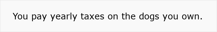 “Text reads: You pay yearly taxes on the dogs you own, highlighting cultural insights from a German perspective.” “Text reads: You pay yearly taxes on the dogs you own, highlighting cultural insights from a German perspective.”