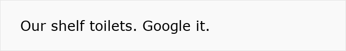 “Text reading 'Our shelf toilets. Google it.' reflecting German cultural insights.” “Text reading 'Our shelf toilets. Google it.' reflecting German cultural insights.”