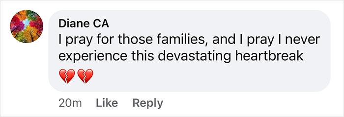 "Diane CA's comment on devastating heartbreak with broken heart emojis. "Diane CA's comment on devastating heartbreak with broken heart emojis.