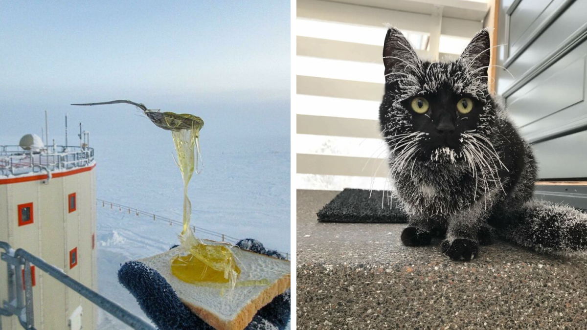 88 Wild Winter Photos That Will Give You Frostbite Just By Looking At Them