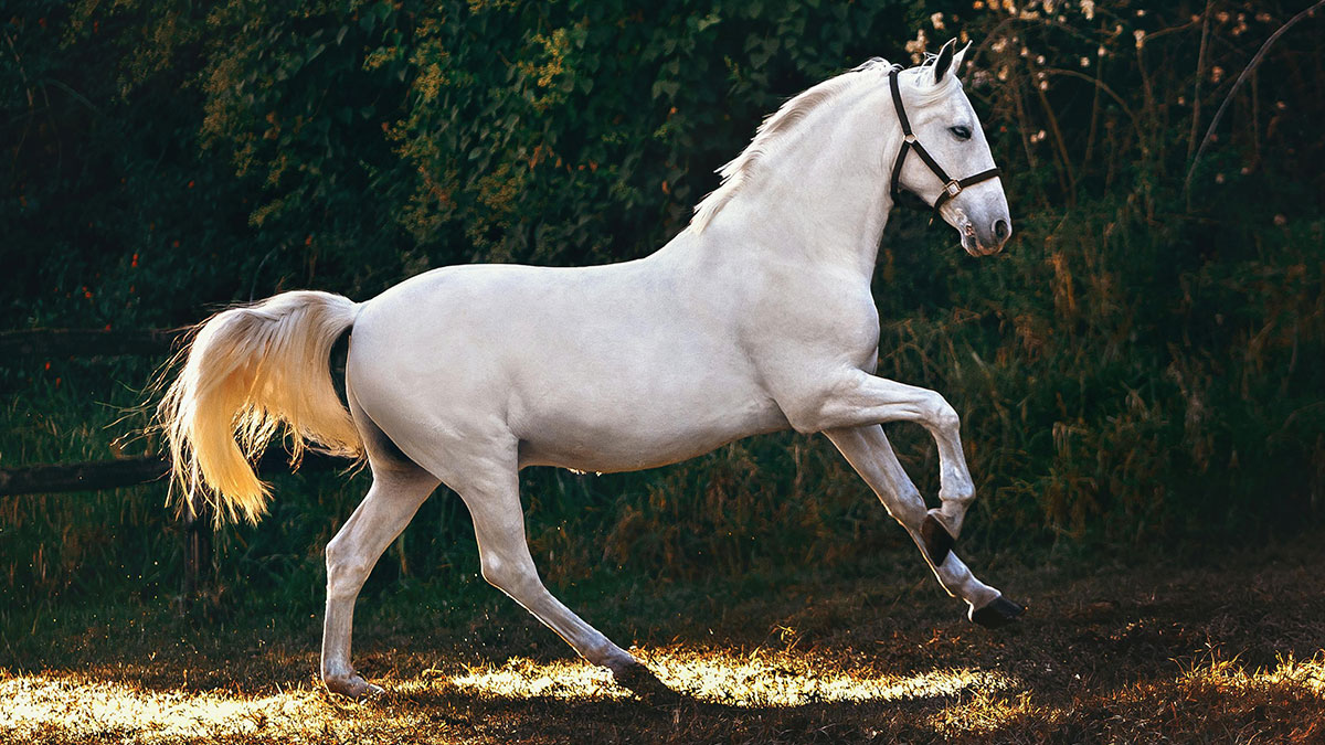 50 Fascinating History Stories Shared Online That Might Surprise You