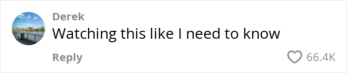 Comment on Canadian dad's viral lottery rulebook post, showing high engagement with 66.4K likes. Comment on Canadian dad's viral lottery rulebook post, showing high engagement with 66.4K likes.