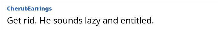 Comment by CherubEarrings criticizing a man's views on domestic labor, calling him lazy and entitled. Comment by CherubEarrings criticizing a man's views on domestic labor, calling him lazy and entitled.