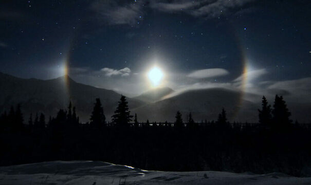 moondog_saarloos_960-e1547588544371-679807cde669b.jpg