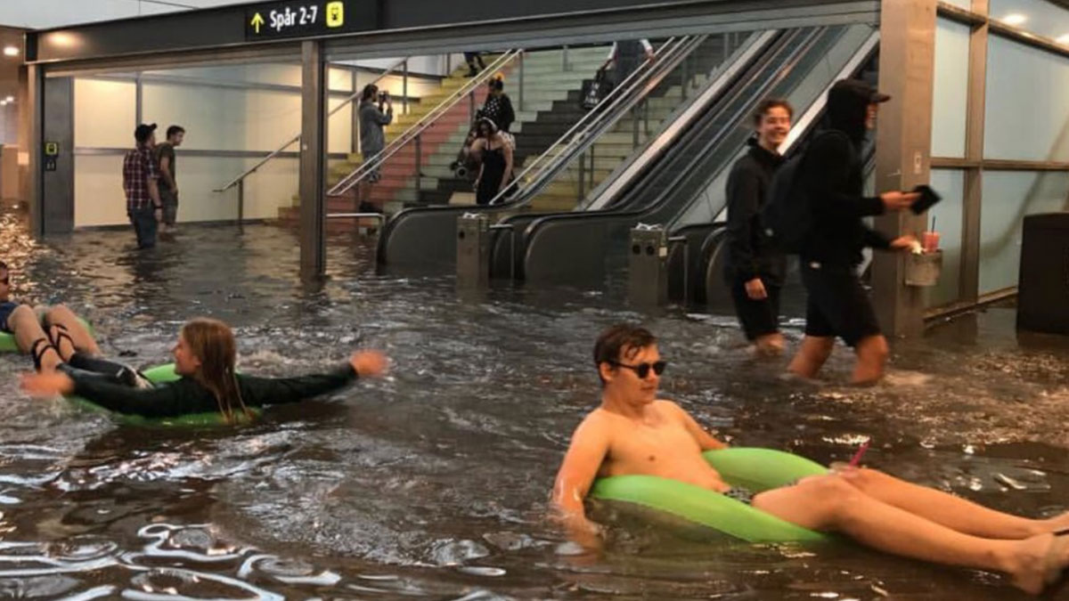 50 Times Humans And Animals Refused To Bow To The Fury Of Nature (New Pics)