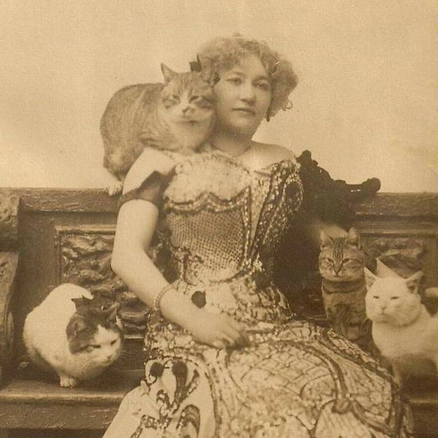 The Hidden History Of NYC’s “Crazy Cat Ladies” Is Coming To Life In This Unique Event The Hidden History Of NYC’s “Crazy Cat Ladies” Is Coming To Life In This Unique Event