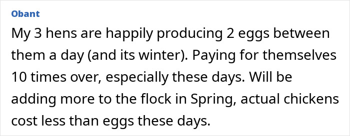 Text screenshot about egg prices; hens produce eggs more cheaply than buying. Text screenshot about egg prices; hens produce eggs more cheaply than buying.