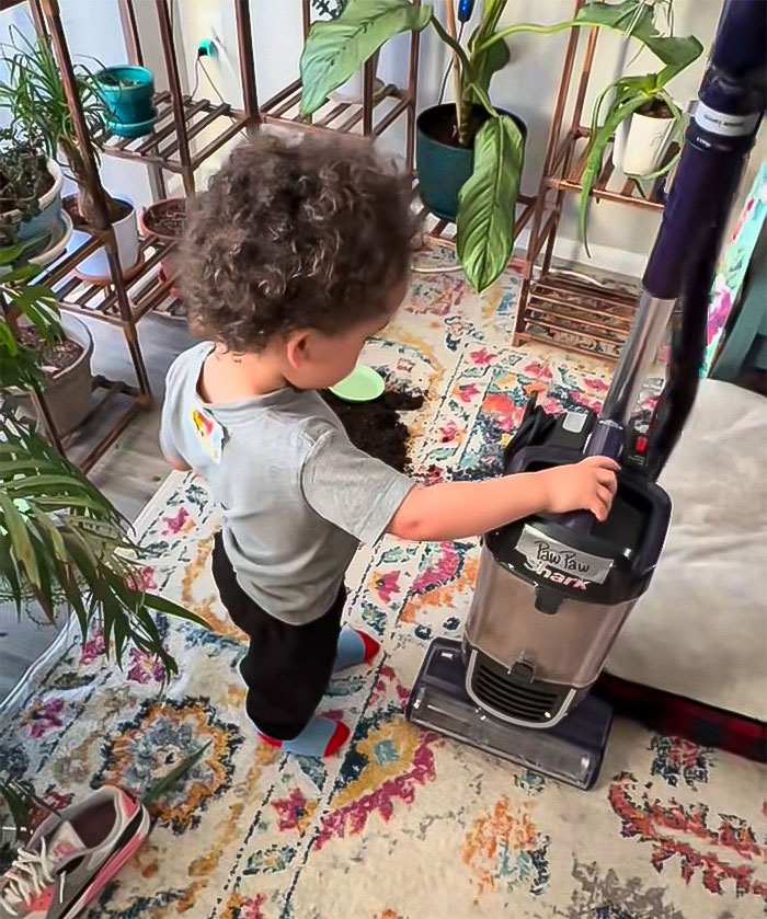 Child using a vacuum on a colorful rug, surrounded by houseplants. Child using a vacuum on a colorful rug, surrounded by houseplants.