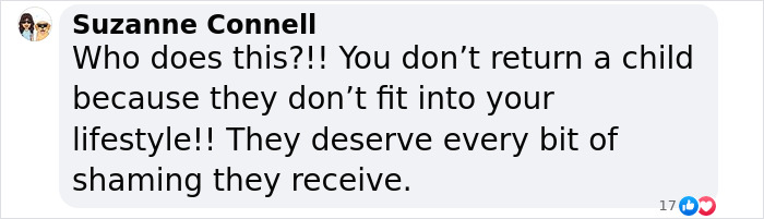 Screenshot of a critical comment about Myka and James Stauffer's decision to rehome their adopted son. Screenshot of a critical comment about Myka and James Stauffer's decision to rehome their adopted son.