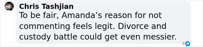 Comment discussing Amanda's silence on allegations, referencing divorce and custody issues related to Neil Gaiman. Comment discussing Amanda's silence on allegations, referencing divorce and custody issues related to Neil Gaiman.