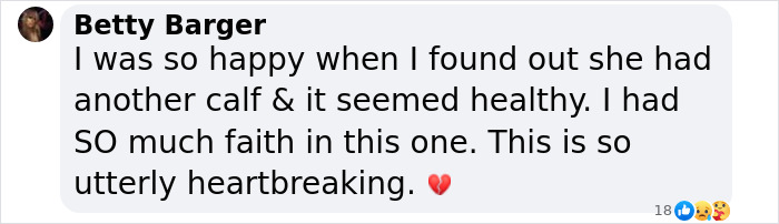 Another “Devastating” Loss For Orca Mom Who Carried Lifeless Calf For 17 Days And 1,000 Miles Another “Devastating” Loss For Orca Mom Who Carried Lifeless Calf For 17 Days And 1,000 Miles