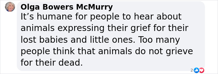 Another “Devastating” Loss For Orca Mom Who Carried Lifeless Calf For 17 Days And 1,000 Miles Another “Devastating” Loss For Orca Mom Who Carried Lifeless Calf For 17 Days And 1,000 Miles