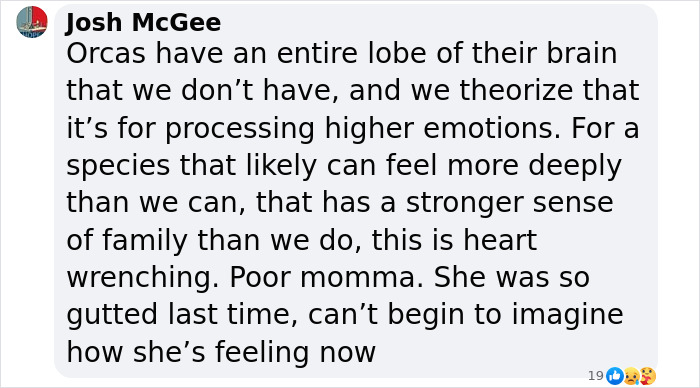 Another “Devastating” Loss For Orca Mom Who Carried Lifeless Calf For 17 Days And 1,000 Miles Another “Devastating” Loss For Orca Mom Who Carried Lifeless Calf For 17 Days And 1,000 Miles