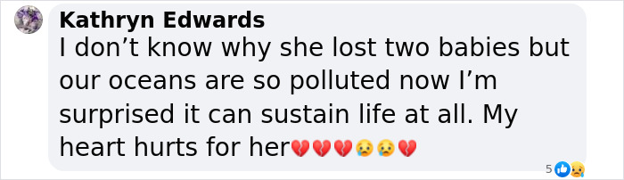 Another “Devastating” Loss For Orca Mom Who Carried Lifeless Calf For 17 Days And 1,000 Miles Another “Devastating” Loss For Orca Mom Who Carried Lifeless Calf For 17 Days And 1,000 Miles
