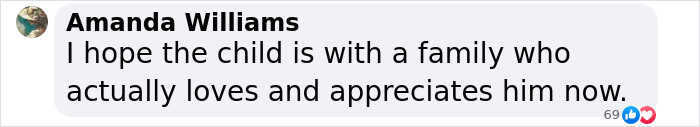 Comment by Amanda Williams expressing hope for the rehomed adopted son of YouTubers. Comment by Amanda Williams expressing hope for the rehomed adopted son of YouTubers.