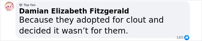 Comment criticizing YouTubers Myka and James Stauffer for adopting and rehoming their son. Comment criticizing YouTubers Myka and James Stauffer for adopting and rehoming their son.