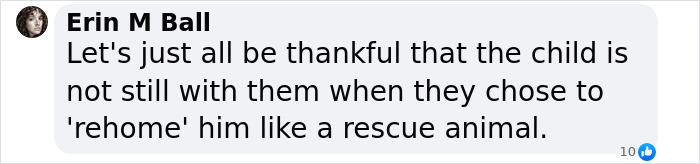 Text comment on YouTubers Myka and James Stauffer's rehoming of adopted son, expressing relief over situation. Text comment on YouTubers Myka and James Stauffer's rehoming of adopted son, expressing relief over situation.