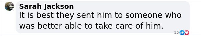 Comment discussing Myka and James Stauffer's decision to rehome adopted son. Comment discussing Myka and James Stauffer's decision to rehome adopted son.