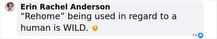 Comment critiquing the rehoming of an adopted son by YouTubers. Comment critiquing the rehoming of an adopted son by YouTubers.