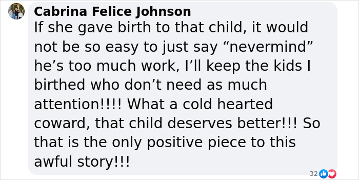 Facebook comment criticizing YouTubers Myka and James Stauffer for rehoming adopted son. Facebook comment criticizing YouTubers Myka and James Stauffer for rehoming adopted son.