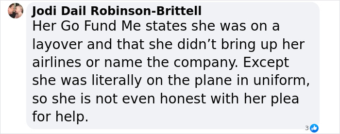Comment discussing a flight attendant's GoFundMe plea related to a twerking video incident and lingerie business support. Comment discussing a flight attendant's GoFundMe plea related to a twerking video incident and lingerie business support.