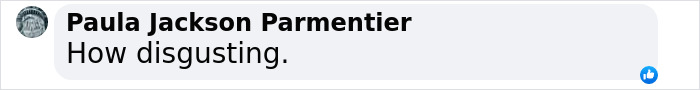 Comment by Paula Jackson Parmentier saying "How disgusting" related to Neil Gaiman's ex-wife. Comment by Paula Jackson Parmentier saying "How disgusting" related to Neil Gaiman's ex-wife.