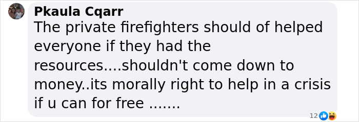 Screenshot of a comment discussing the role of private firefighters in crisis situations, emphasizing morality over cost. Screenshot of a comment discussing the role of private firefighters in crisis situations, emphasizing morality over cost.