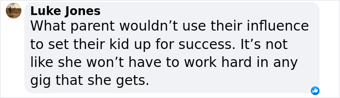 Screenshot of a comment discussing "Nepo Baby" and influence in career success. Screenshot of a comment discussing "Nepo Baby" and influence in career success.