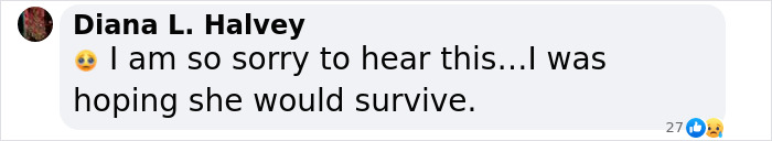 Another “Devastating” Loss For Orca Mom Who Carried Lifeless Calf For 17 Days And 1,000 Miles Another “Devastating” Loss For Orca Mom Who Carried Lifeless Calf For 17 Days And 1,000 Miles