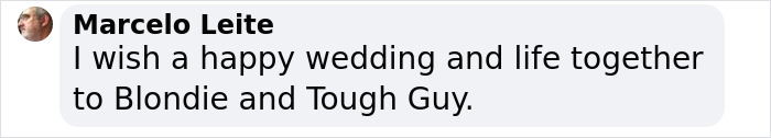 Comment wishing Blondie and Frankie a happy wedding. Comment wishing Blondie and Frankie a happy wedding.