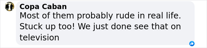 Text comment discussing celebrities being perceived as rude, mentioning television personas. Text comment discussing celebrities being perceived as rude, mentioning television personas.