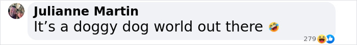 Comment by Julianne Martin saying 'It's a doggy dog world out there' with laughing emoji, related to rudest celebrity topic. Comment by Julianne Martin saying 'It's a doggy dog world out there' with laughing emoji, related to rudest celebrity topic.