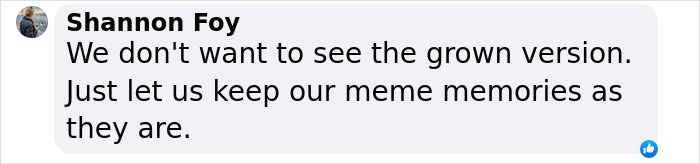 Text comment about meme memory preservation. Text comment about meme memory preservation.