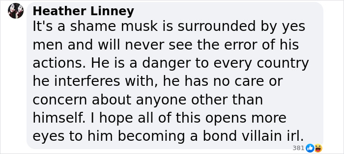 Social media comment criticizing Elon Musk and expressing concern over his influence. Social media comment criticizing Elon Musk and expressing concern over his influence.