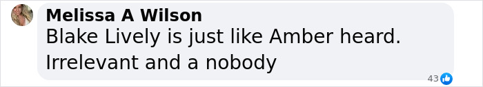 Comment comparing Blake Lively to another celebrity, labeled "Melissa A Wilson. Comment comparing Blake Lively to another celebrity, labeled "Melissa A Wilson.
