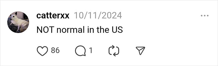 Comment saying, "NOT normal in the US," with 86 likes and 1 reply. Comment saying, "NOT normal in the US," with 86 likes and 1 reply.