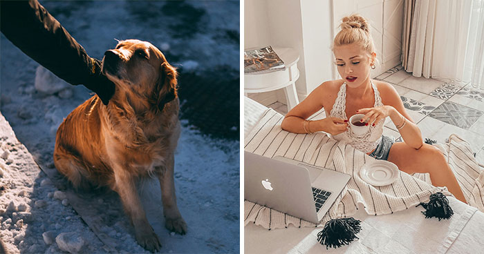 MIL Tries To Get Rid Of BF’s Dog By “Rehoming” It, Gets Kicked To The Curb When Truth Comes Out