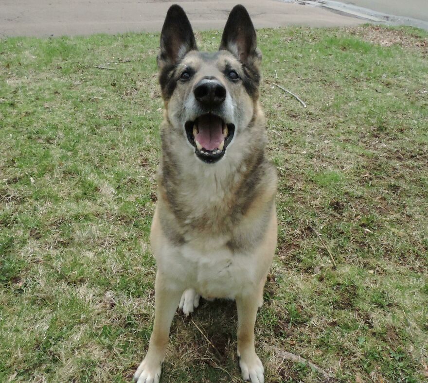 Here Are 19 Random Photos From My Camera Roll